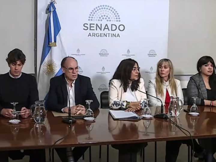 “Anticonstitucional”: rechazo en el Senado al ataque del Gobierno a la libertad de expresión