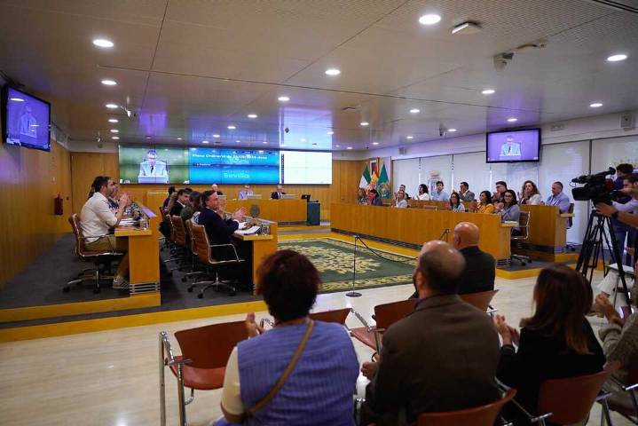 La Diputación de Sevilla aprueba convenios de igualdad y declara su apoyo al arte sacro