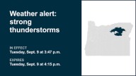 Thunderstorms with marble-sized hail in Southern Blue Mountains of Oregon Tuesday – gusts may reach 40 mph