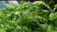Proposed city ordinance sets zoning for medical marijuana