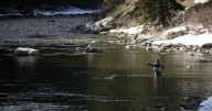 Our View: Zinke's Wild & Scenic bill for Gallatin, Madison rivers a haunting reminder of waters' power