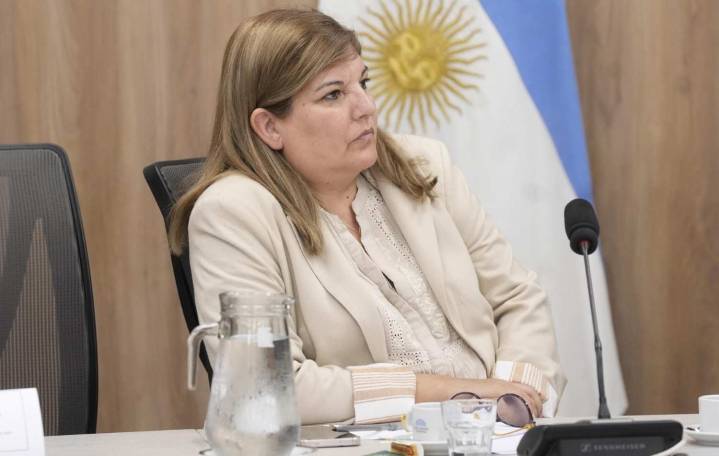 De Coli a Milei: “Nos vemos en el recinto para bajar ese veto”