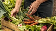 The Type Of Vegetable You Should Harvest After A Frost For Sweeter Flavor