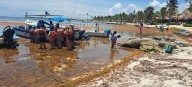 Akumal será sede del primer foro internacional sobre barreras contra el sargazo