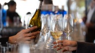 In vino socialitas