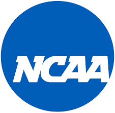 NCAA Committee Recommends Eliminating Spring Transfer Portal