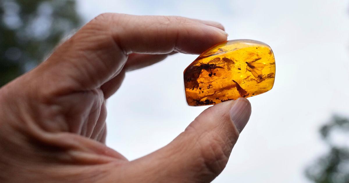 Finding happiness in amber: On Germany's Baltic coast, people hunt for precious pieces