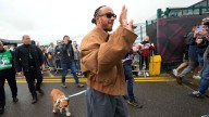 Lewis Hamilton says the death of his dog Roscoe is 'one of the most painful experiences'