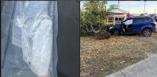 Driver Crashes Into Gazebo in New Boston; Meth Seized at Scene