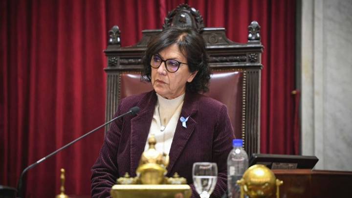 Silvia Sapag celebró la aprobación definitiva de la Ley nacional de Emergencia en Discapacidad