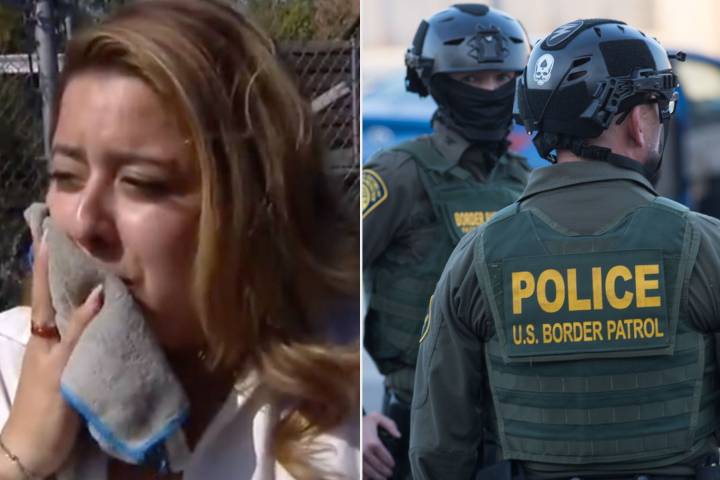 Illinois Police Investigating After ICE Agent Allegedly Fired Chemical Munitions at Reporter's Car