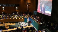 China vows first emissions cut, sidelining US