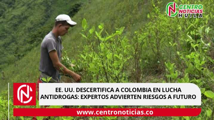 EE. UU. descertifica a Colombia en lucha antidrogas: expertos advierten riesgos a futuro