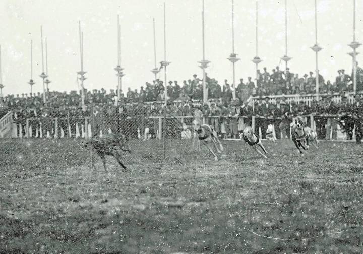 1925 | Las carreras de galgos decepcionaron