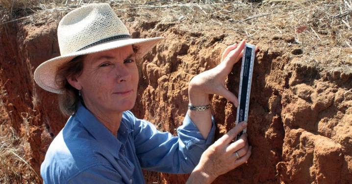 Gradual decline of lime: researcher says there's a need for a greater input