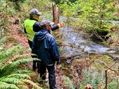 Pacific salmon monitoring takes a dive with DFO cuts