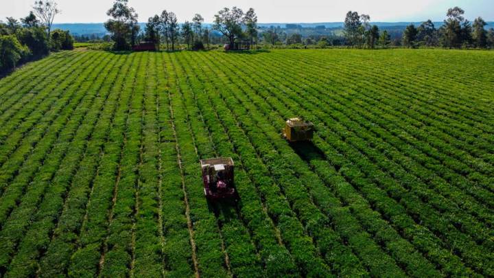 La bebida más popular está en un laberinto y bajo amenaza de perder un reinado en Estados Unidos