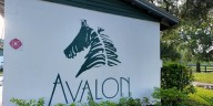Horse Capital TV highlights Avalon Stables