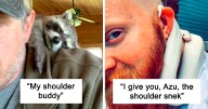 People Are Posting Their “Shoulder Animals”, And Here Are 49 Of The Cutest Ones