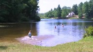 Cyanobacteria warnings issued for Province Lake, Tucker Pond in New Hampshire