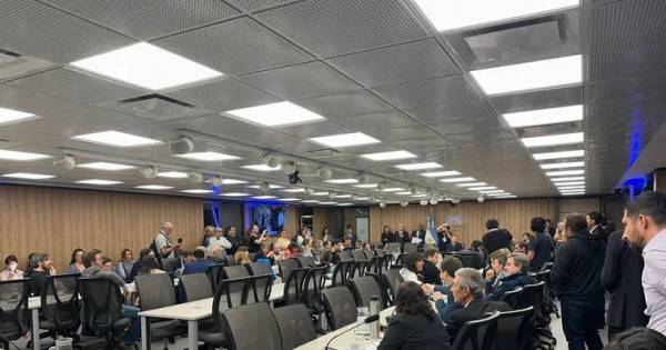 Caso $LIBRA: avanza la comisión investigadora en el Congreso con la primera citación a testigos