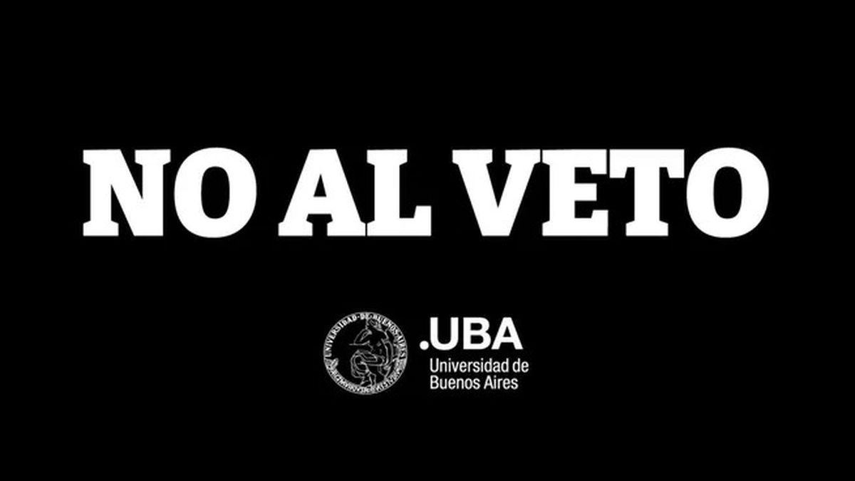 El Gobierno denunciará a la UBA por usar la web oficial para repudiar el veto