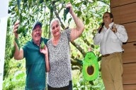 Seminario Regional de Aguacate desmitifica impactos ambientales y resalta rol de polinizadores