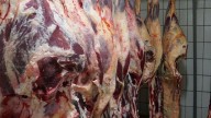 Un mayorista de carne de Esteban Echeverría vende medias reses para abaratar los precios
