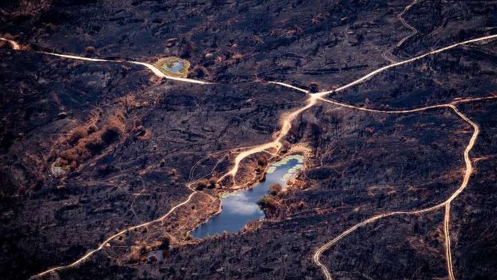 El cambio climático multiplicó por 40 las condiciones que avivaron los incendios en España