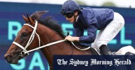 James McDonald tips Wodeton to peak for emotional Golden Rose at Rosehill on Saturday after death of super sire Wootton Bassett