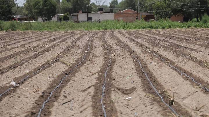 Soledad entrega semillas a campesinos