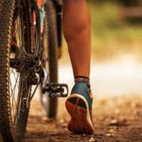 Trump's transportation department pulls trail and bike grants it deems 'hostile' to cars