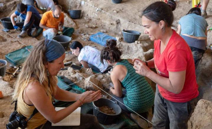 Los primeros humanos modernos del interior de la península eran cazadores expertos según restos faunísticos de Tamajón (Guadalajara)