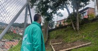 La Alcaldía de Manizales le corre a las quejas sobre el mantenimiento de árboles y césped