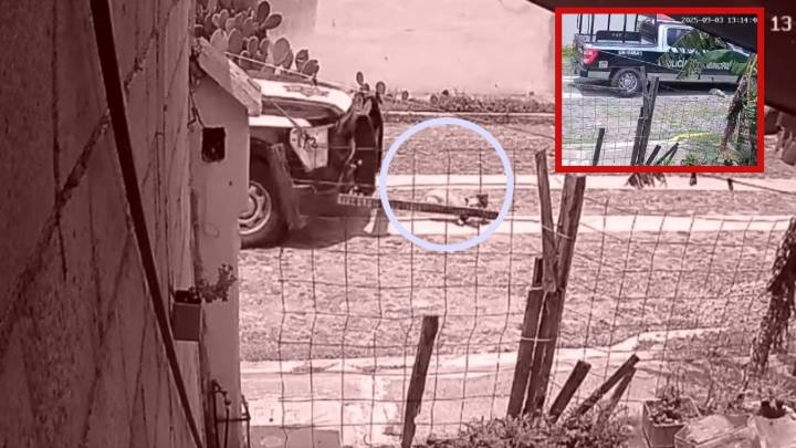 Patrulla acelera para atropellar a dos perritos en Querétaro, video causa indignación en redes