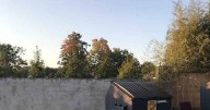 Spot hidden deer in garden picture to prove you have the 'world's sharpest eyes'