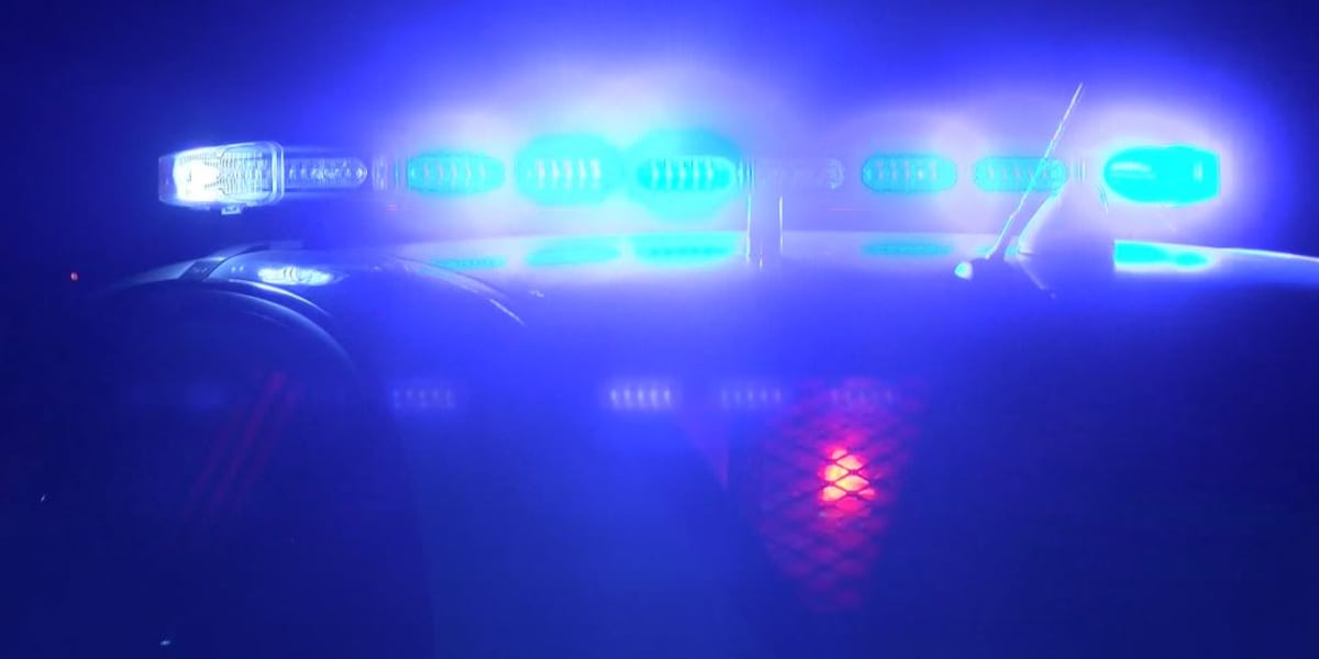 Beaufort County deputies investigate shots fired into home