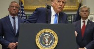 EU, UK counter Trump warnings on autism and pregnancy