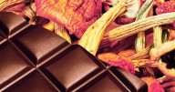 Scientists Tested What's Really in "Psilocybin" Chocolate and Found Something Alarming