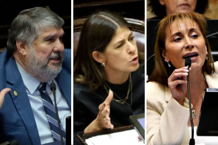 "Alta coimera". Karina Milei fue eje de acusaciones en el debate del Senado: de reproches y chicanas a jingles