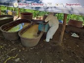 Decomisan 21 toneladas se metanfetamina en Durango