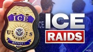 Nearly 500 workers detained in immigration raid at Hyundai Plant in Georgia
