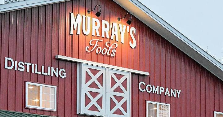Cocktail competition at Glenville's Murray's Fools Saturday