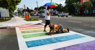 Arrests, protests and sidewalk chalk: How Florida’s rainbow crosswalks became a political lightning rod