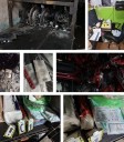 POLICÍAS FEDERALES Y MUNICIPALES DE LA CDMX Y EDOMÉX REALIZARAN LA OPERACIÓN “FORTALEZA” CONTRAROBO DE VEHICULOS