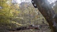 Green's Bluff nature preserve expands from new land donation