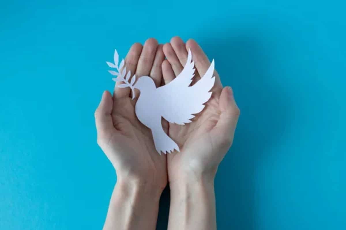 Que el dolor no nos sea indiferente