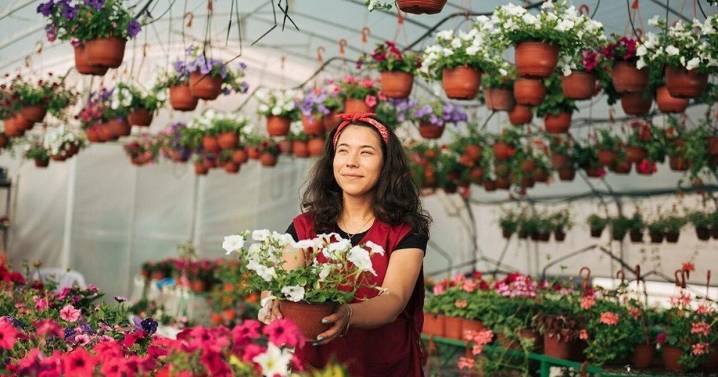 Survey: Small business owners are less confident about year