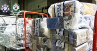 Sydney dockworkers charged over $100 million cocaine bust