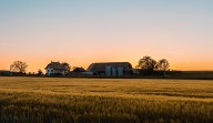 Are suicide rates twice as high in rural Minnesota than in the Twin Cities?